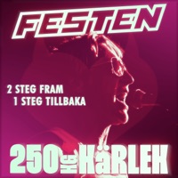 2 steg fram 1 steg tillbaka - Single - 250 kg kärlek & FESTEN