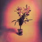 WANT ME GONE - Single