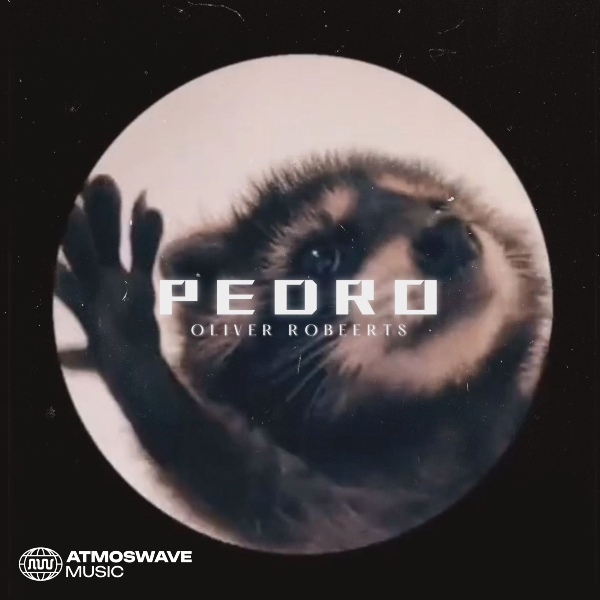 Pedro Pedro Pedro (Hardstyle) artwork