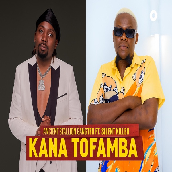 Kana Tofamba X Silent Killer