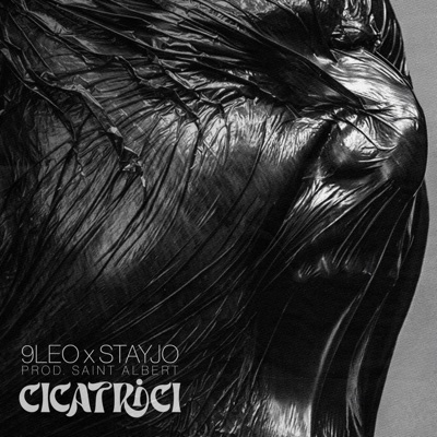 Cicatrici (feat. StayJo) - Single