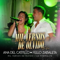 Mil Versos De Olvido / La Formulita (En Vivo) - Single - Fello Zabaleta & Ana del Castillo