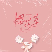 櫻花草 - Single - Mai Xiao Dou