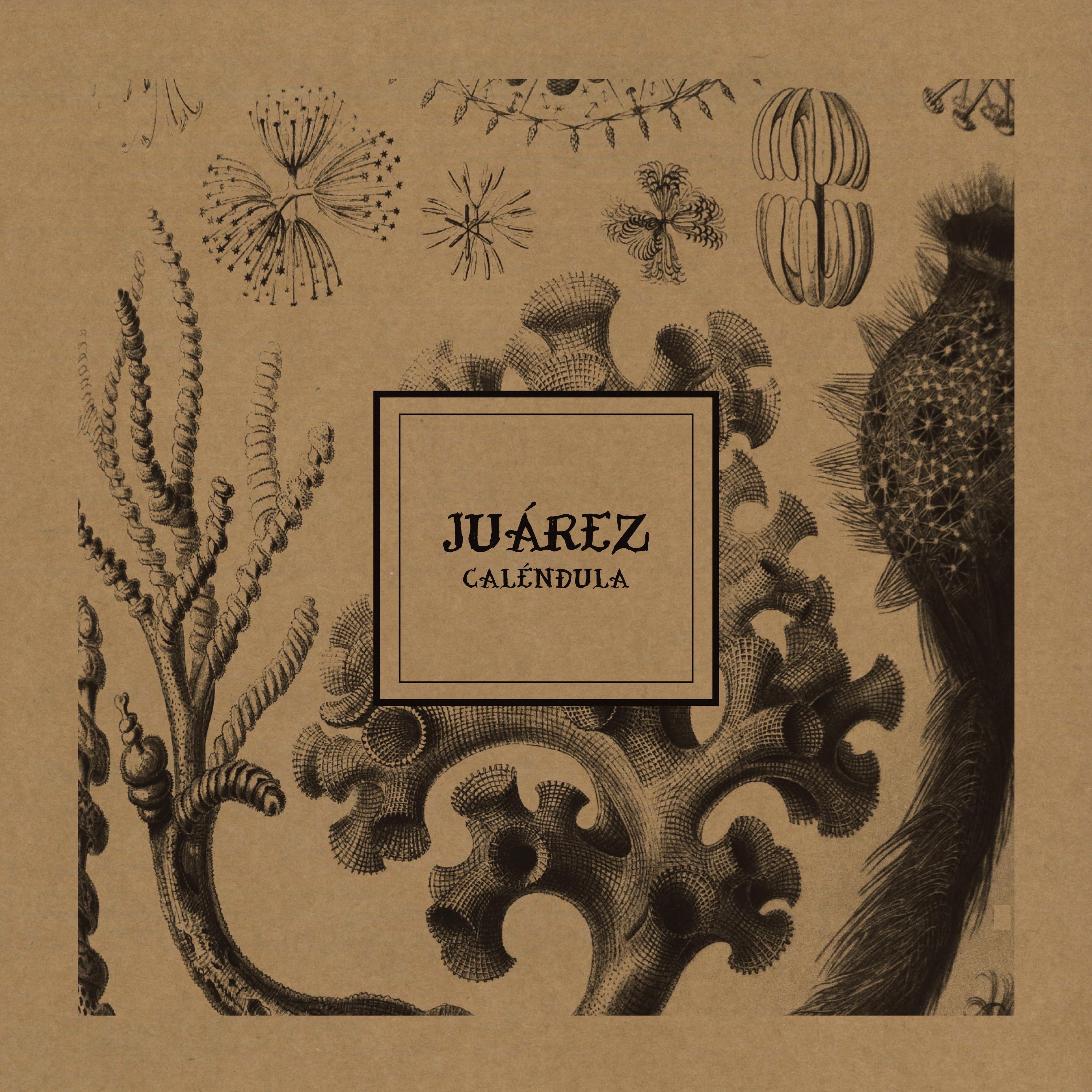 Juarez Oliveira - Virou Amor