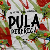Pula Perereca - Single - Mc DoisZin & DJ LEO DA PANCADA