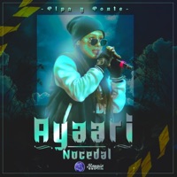 Pipa y ponte (rmx) - Single - Ayaari Nocedal