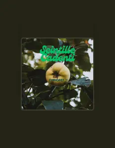 收听 SYPHORET、观看音乐视频、阅读小传、查看巡演日期等 ！