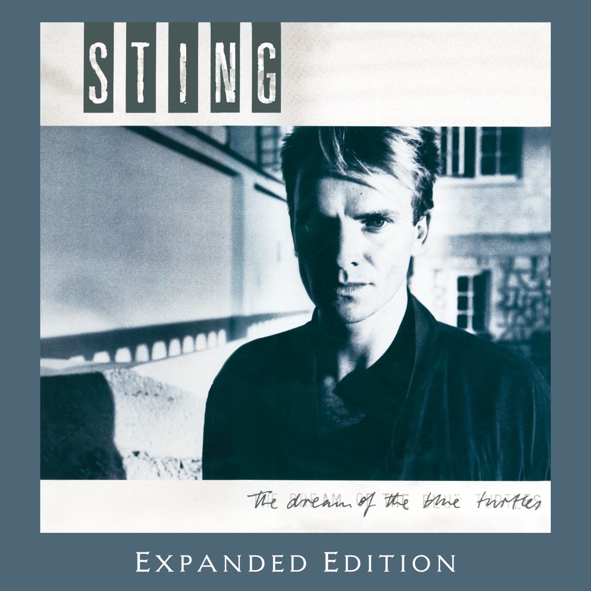 Sting - The Dream Of The Blue Turtles (Expanded Edition) (2025) [iTunes Plus AAC M4A]-新房子