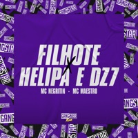 Filhote X Helipa e Dz7 - Single - MC NEGRITIN, MC MAESTRO & Gangstar Funk
