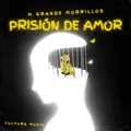 PRISIÓN DE AMOR