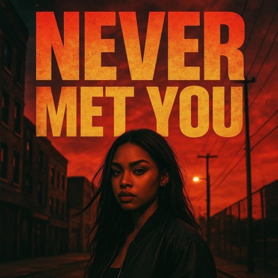 Never Met You - Single