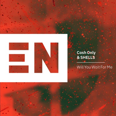 Will You Wait For Me - Single