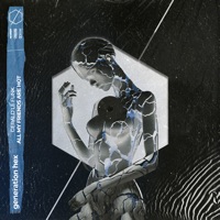 All My Friends Are Hot - Single - Gerald Le Funk