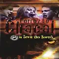 EU VOU PRA VAQUEJADA