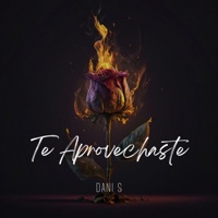 Te Aprovechaste - Single - Dani S