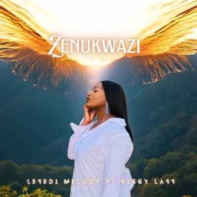 Zenukwazi (Radio Edit) - Single