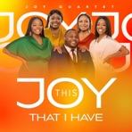 This Joy That I have - Single