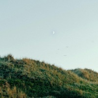 Remember Everything (feat. jxsn) - Single - amies