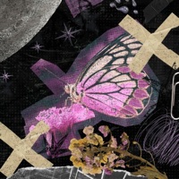 Accepted. - Single - Naveszn