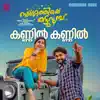 Ganesh Sundaram, Sangeetha Sreekanth & Bijibal - Kannil kannil