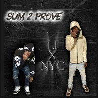 Sum to prove (feat. Chrisbands) - Single - Wolfiegzz