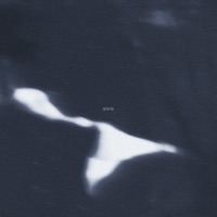 sirène - eenspire
