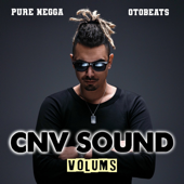 Cnv Vol.35 (Un Mal Camino)