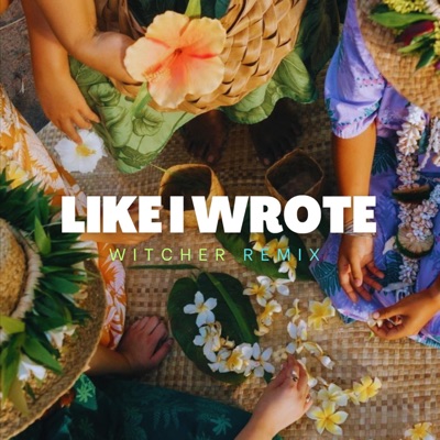 Slayer FIJI - Like I Wrote (Witcher)