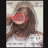 Plagiarist - Single - Pgdaone
