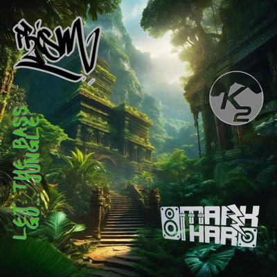 Let the Bass Go - Single