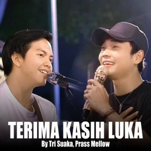Chord Gitar Terima Kasih Luka - Prass Mellow