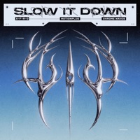 Slow It Down - Single - Chrome Waves, A-F-R-O & MotionPlus