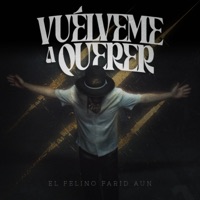Vuélveme a Querer - Single - EL FELINO FARID AUN