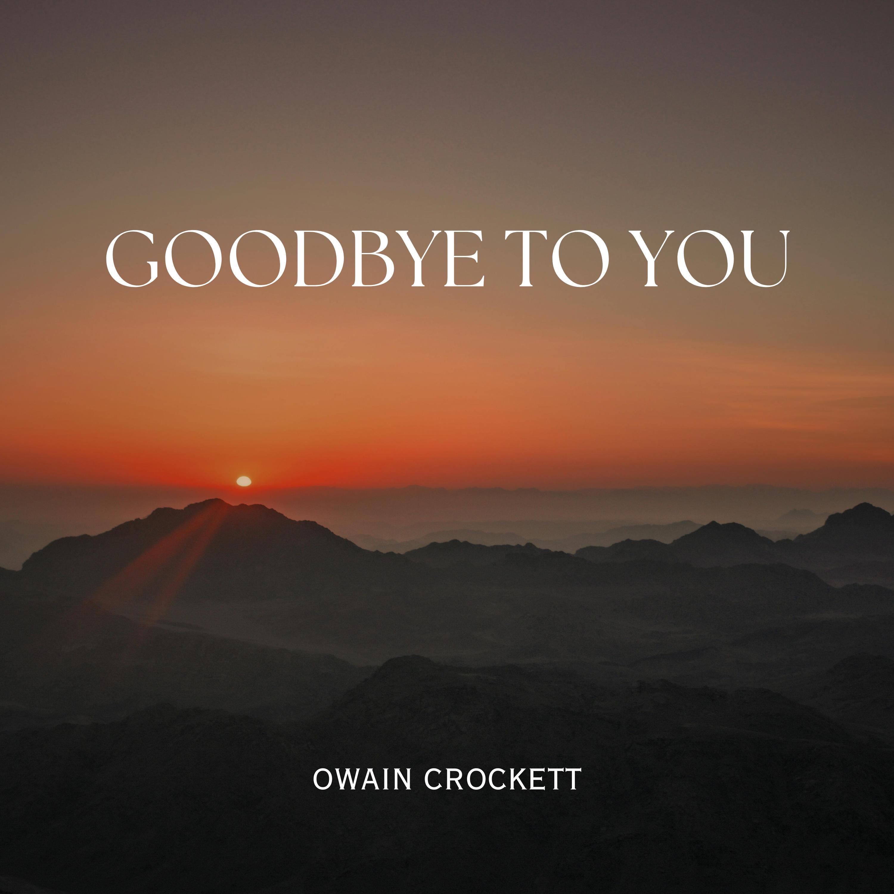 Goodbye To You - Single