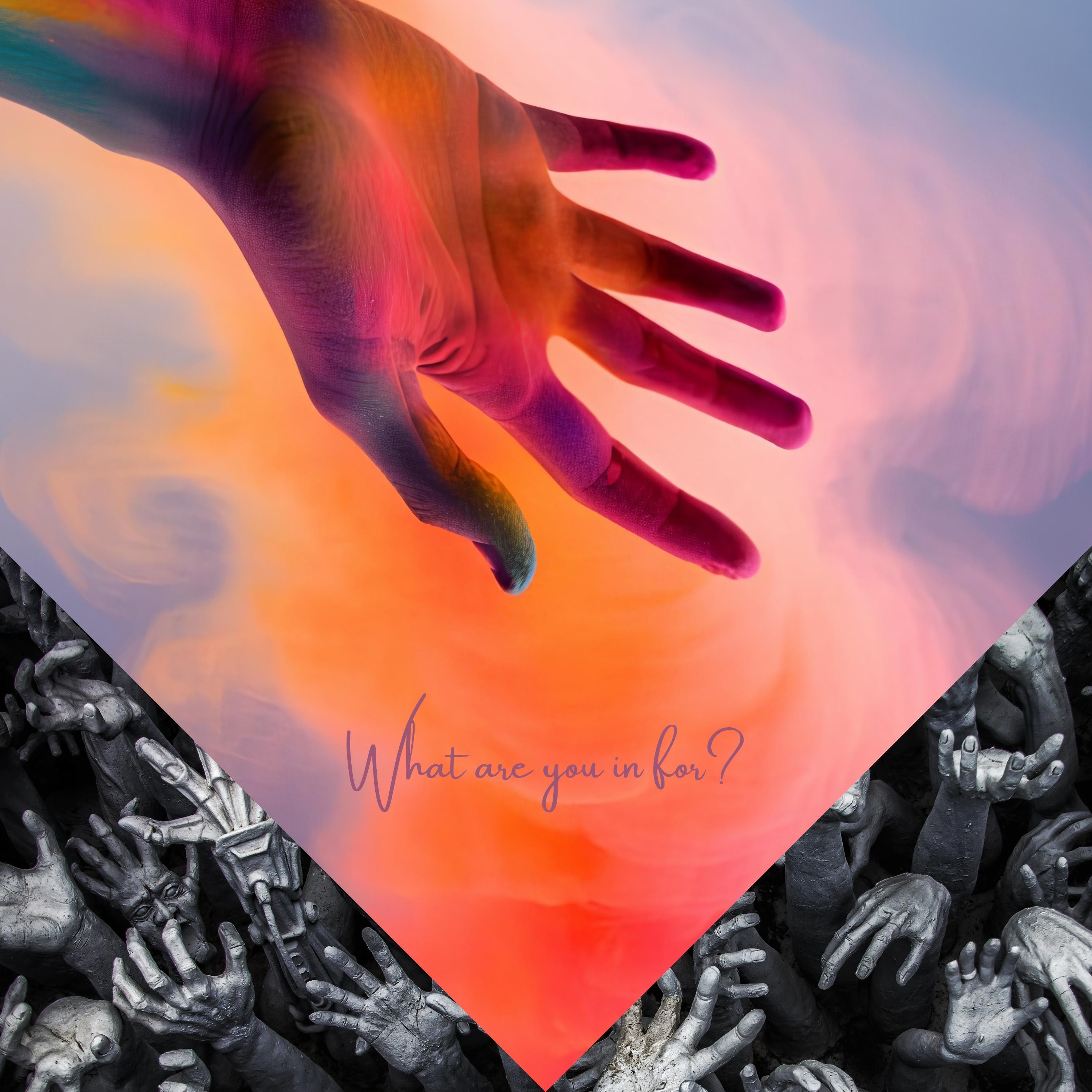 What are you in for? - Single