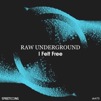 I Felt Free - Single - Raw Underground