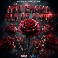Não Chama Ela de Amor - Single - Mc Negritin & DJ Emige