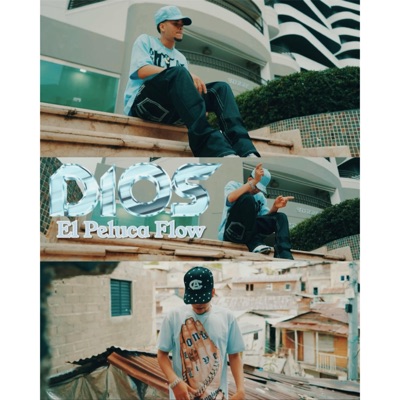 El peluca flow cover