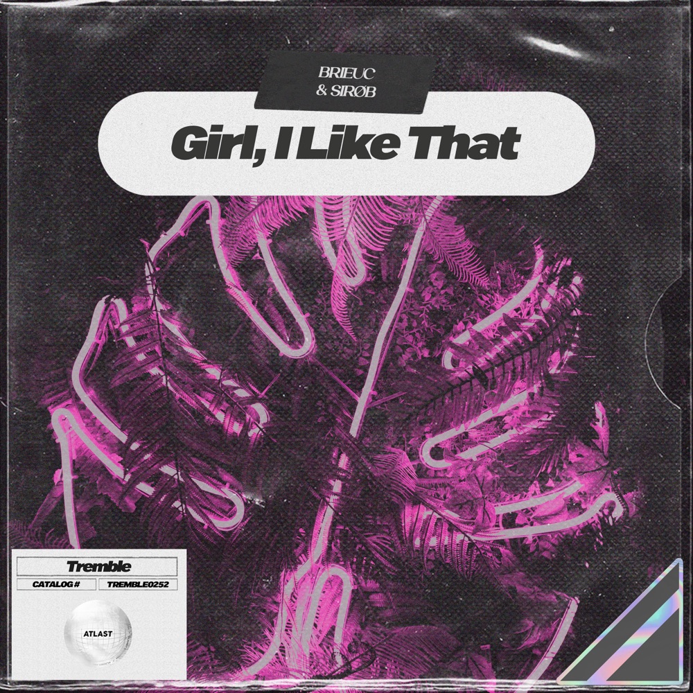 Обложка альбома «Girl, I Like That - Single» — Brieuc & SIRØB