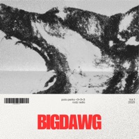 BIGDAWG (feat. POLO PERKS <3 <3 <3) - Single - rodz!
