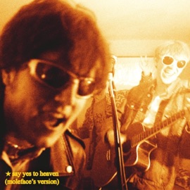 Say Yes To Heaven (moleface's version) moleface