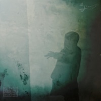 Псы попадают в гетто - NPPRODUCT