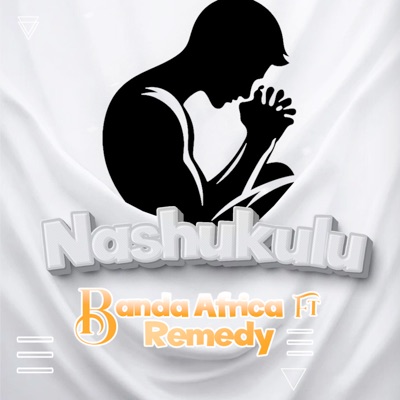 Nashukuru (feat. Remedy) - Single
