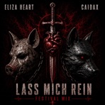 Lass Mich Rein (Festival Mix) (feat. Caidax) - Single