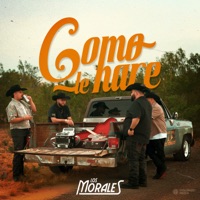 Cómo Le Haré - Single - Los Morales