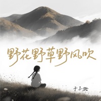 野花野草野风吹 - Single - 于子璐