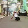 Brasil da Capoeira