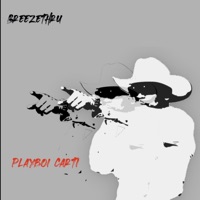 Album cover for Playboi Carti (feat. Ransum) by breezethru