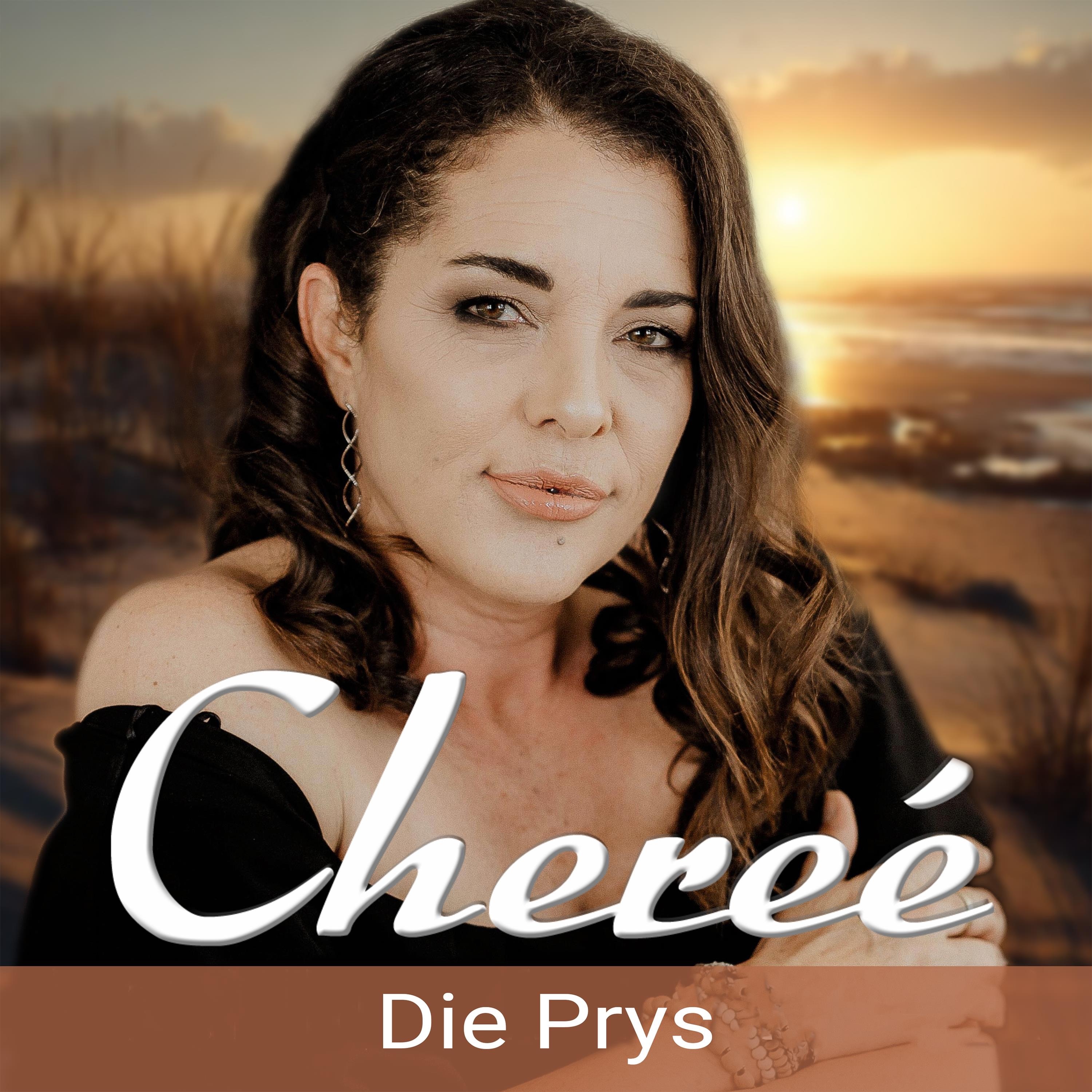 Die Prys - Single