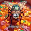Skippa - A Metamorfose é Lei